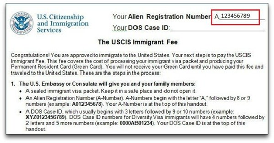 USCIS application form for A number 