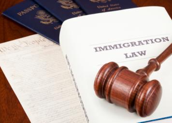 Libro sobre derecho de inmigración
