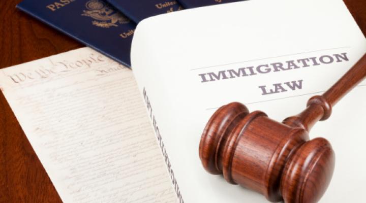 Book on Immigration law